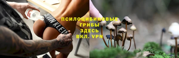 прущие крисы Киренск