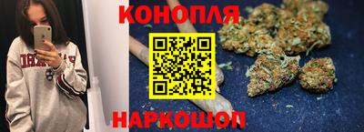 прущие крисы Новокубанск