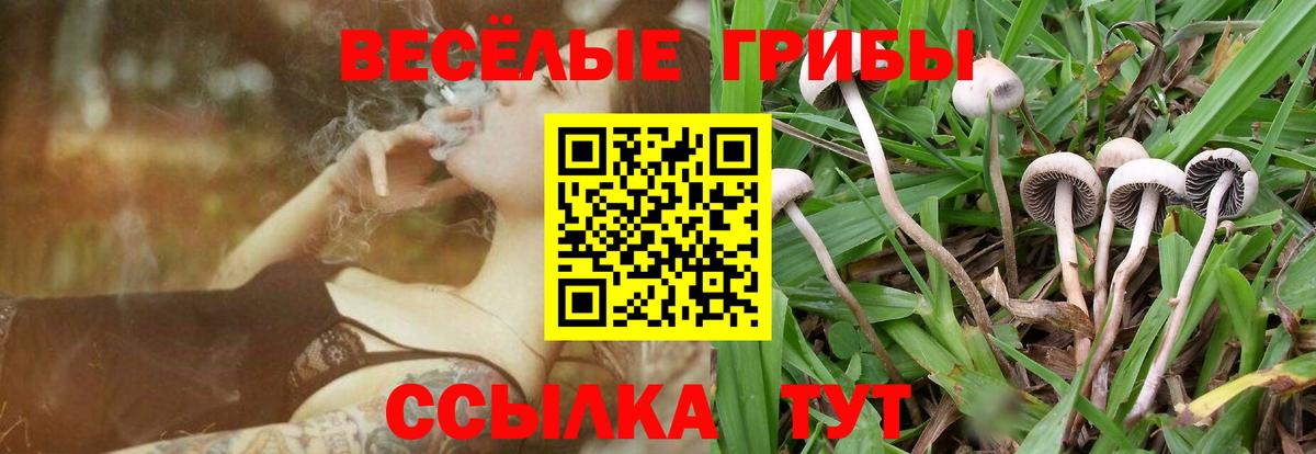продажа наркотиков  Галлюциногенные грибы Cubensis  Вход с VPN  Евпатория  Галлюциногенные грибы ЛСД 